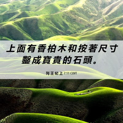 Picture 06 - 列 王 紀 上 7:11 CUVT - 上 面 有 香 柏 木 和 按 著 尺 寸 鑿 - Bible Verse Picture