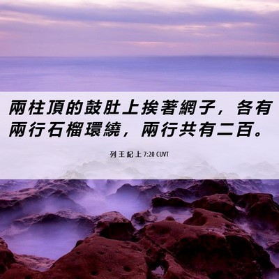 Picture 06 - 列 王 紀 上 7:20 CUVT - 兩 柱 頂 的 鼓 肚 上 挨 著 網 子 ， - Bible Verse Picture