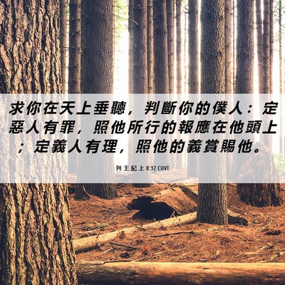 Picture 06 - 列 王 紀 上 8:32 CUVT - 求 你 在 天 上 垂 聽 ， 判 斷 你 的 - Bible Verse Picture