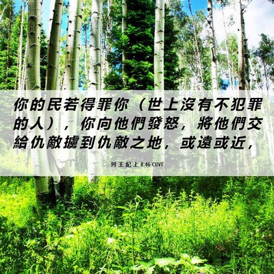 Picture 06 - 列 王 紀 上 8:46 CUVT - 你 的 民 若 得 罪 你 （ 世 上 沒 有 - Bible Verse Picture