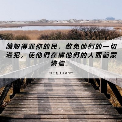 Picture 06 - 列 王 紀 上 8:50 CUVT - 饒 恕 得 罪 你 的 民 ， 赦 免 他 們 - Bible Verse Picture