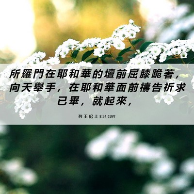Picture 06 - 列 王 紀 上 8:54 CUVT - 所 羅 門 在 耶 和 華 的 壇 前 屈 膝 - Bible Verse Picture