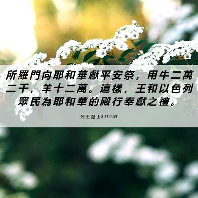 Picture 06 - 列 王 紀 上 8:63 CUVT - 所 羅 門 向 耶 和 華 獻 平 安 祭 ， - Bible Verse Picture