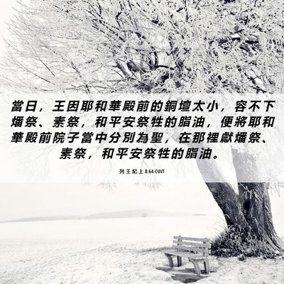 Picture 06 - 列 王 紀 上 8:64 CUVT - 當 日 ， 王 因 耶 和 華 殿 前 的 銅 - Bible Verse Picture