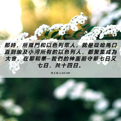 Picture 06 - 列 王 紀 上 8:65 CUVT - 那 時 ， 所 羅 門 和 以 色 列 眾 人 - Bible Verse Picture