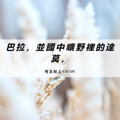 Picture 06 - 列 王 紀 上 9:18 CUVT - 巴 拉 ， 並 國 中 曠 野 裡 的 達 莫 - Bible Verse Picture