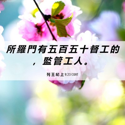 Picture 06 - 列 王 紀 上 9:23 CUVT - 所 羅 門 有 五 百 五 十 督 工 的 ， - Bible Verse Picture