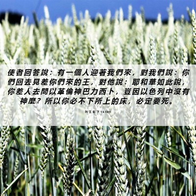 Picture 06 - 列 王 紀 下 1:6 CUVT - 使 者 回 答 說 ： 有 一 個 人 迎 著 - Bible Verse Picture