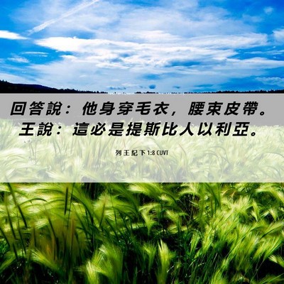 Picture 06 - 列 王 紀 下 1:8 CUVT - 回 答 說 ： 他 身 穿 毛 衣 ， 腰 束 - Bible Verse Picture