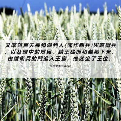Picture 06 - 列 王 紀 下 11:19 CUVT - 又 率 領 百 夫 長 和 迦 利 人 ( 或 作 - Bible Verse Picture