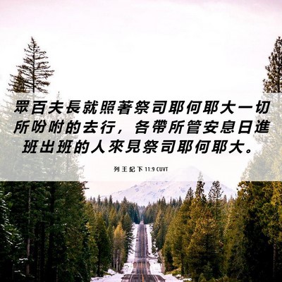 Picture 06 - 列 王 紀 下 11:9 CUVT - 眾 百 夫 長 就 照 著 祭 司 耶 何 耶 - Bible Verse Picture