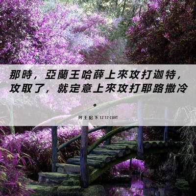 Picture 06 - 列 王 紀 下 12:17 CUVT - 那 時 ， 亞 蘭 王 哈 薛 上 來 攻 打 - Bible Verse Picture