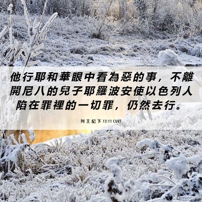Picture 06 - 列 王 紀 下 13:11 CUVT - 他 行 耶 和 華 眼 中 看 為 惡 的 事 - Bible Verse Picture