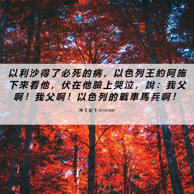Picture 06 - 列 王 紀 下 13:14 CUVT - 以 利 沙 得 了 必 死 的 病 ， 以 色 - Bible Verse Picture