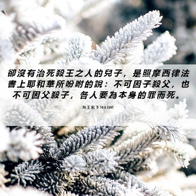 Picture 06 - 列 王 紀 下 14:6 CUVT - 卻 沒 有 治 死 殺 王 之 人 的 兒 子 - Bible Verse Picture
