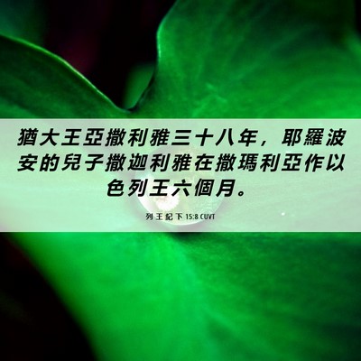Picture 06 - 列 王 紀 下 15:8 CUVT - 猶 大 王 亞 撒 利 雅 三 十 八 年 ， - Bible Verse Picture