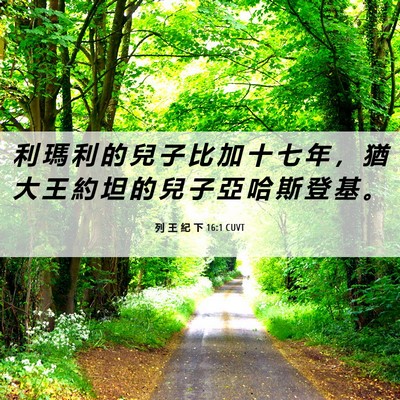 Picture 06 - 列 王 紀 下 16:1 CUVT - 利 瑪 利 的 兒 子 比 加 十 七 年 ， - Bible Verse Picture