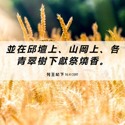 Picture 06 - 列 王 紀 下 16:4 CUVT - 並 在 邱 壇 上 、 山 岡 上 、 各 青 - Bible Verse Picture