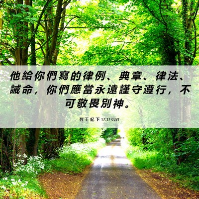 Picture 06 - 列 王 紀 下 17:37 CUVT - 他 給 你 們 寫 的 律 例 、 典 章 、 - Bible Verse Picture