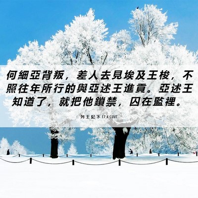 Picture 06 - 列 王 紀 下 17:4 CUVT - 何 細 亞 背 叛 ， 差 人 去 見 埃 及 - Bible Verse Picture