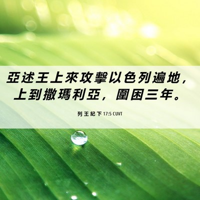 Picture 06 - 列 王 紀 下 17:5 CUVT - 亞 述 王 上 來 攻 擊 以 色 列 遍 地 - Bible Verse Picture