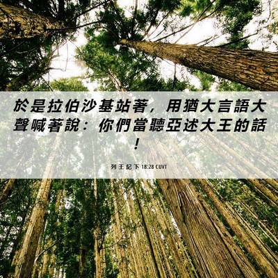 Picture 06 - 列 王 紀 下 18:28 CUVT - 於 是 拉 伯 沙 基 站 著 ， 用 猶 大 - Bible Verse Picture