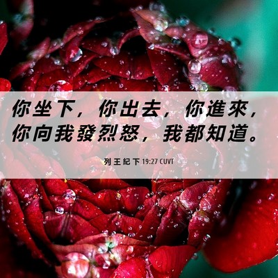 Picture 06 - 列 王 紀 下 19:27 CUVT - 你 坐 下 ， 你 出 去 ， 你 進 來 ， - Bible Verse Picture