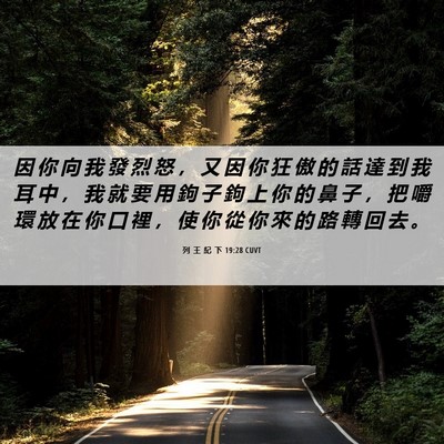 Picture 06 - 列 王 紀 下 19:28 CUVT - 因 你 向 我 發 烈 怒 ， 又 因 你 狂 - Bible Verse Picture