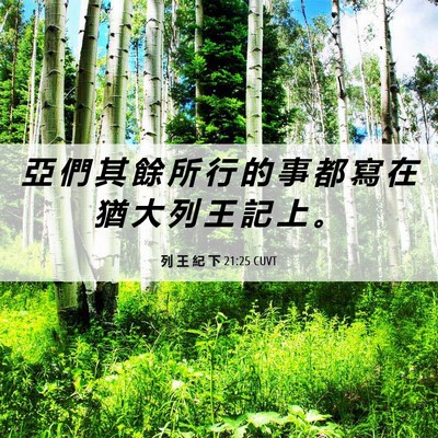 Picture 06 - 列 王 紀 下 21:25 CUVT - 亞 們 其 餘 所 行 的 事 都 寫 在 猶 - Bible Verse Picture