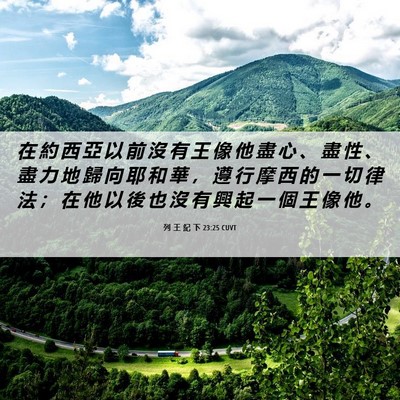 Picture 06 - 列 王 紀 下 23:25 CUVT - 在 約 西 亞 以 前 沒 有 王 像 他 盡 - Bible Verse Picture