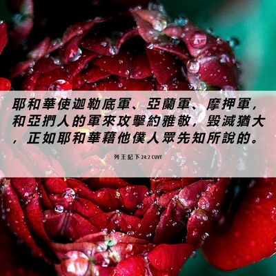 Picture 06 - 列 王 紀 下 24:2 CUVT - 耶 和 華 使 迦 勒 底 軍 、 亞 蘭 軍 - Bible Verse Picture