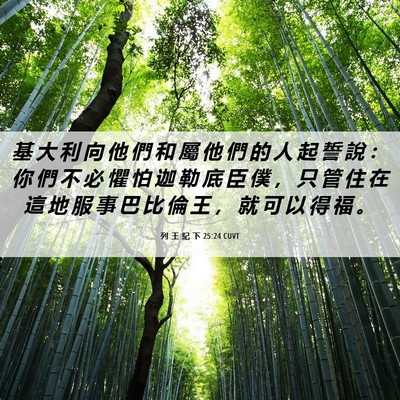 Picture 06 - 列 王 紀 下 25:24 CUVT - 基 大 利 向 他 們 和 屬 他 們 的 人 - Bible Verse Picture