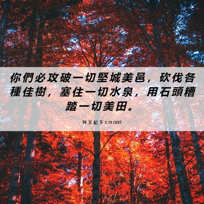 Picture 06 - 列 王 紀 下 3:19 CUVT - 你 們 必 攻 破 一 切 堅 城 美 邑 ， - Bible Verse Picture