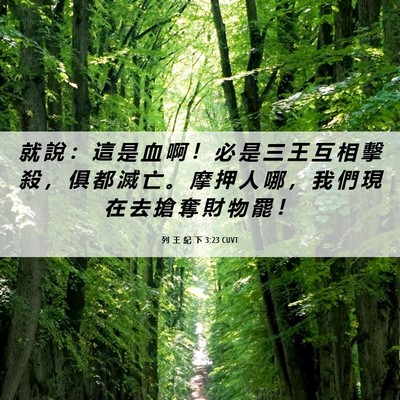 Picture 06 - 列 王 紀 下 3:23 CUVT - 就 說 ： 這 是 血 啊 ！ 必 是 三 王 - Bible Verse Picture