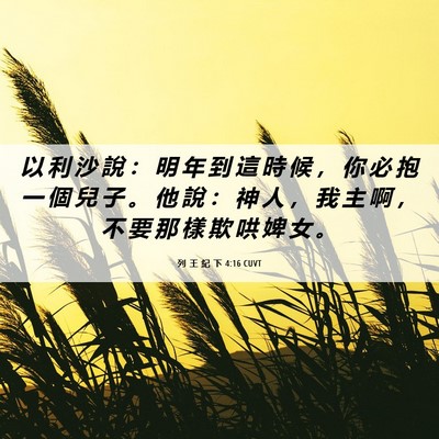 Picture 06 - 列 王 紀 下 4:16 CUVT - 以 利 沙 說 ： 明 年 到 這 時 候 ， - Bible Verse Picture