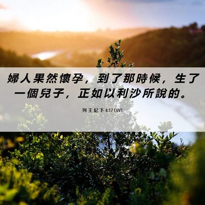 Picture 06 - 列 王 紀 下 4:17 CUVT - 婦 人 果 然 懷 孕 ， 到 了 那 時 候 - Bible Verse Picture