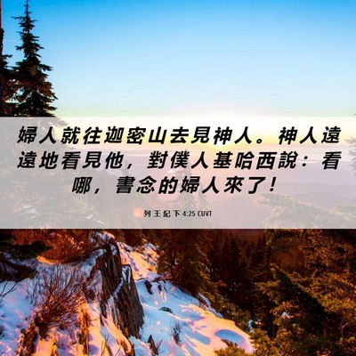 Picture 06 - 列 王 紀 下 4:25 CUVT - 婦 人 就 往 迦 密 山 去 見 神 人 。 - Bible Verse Picture