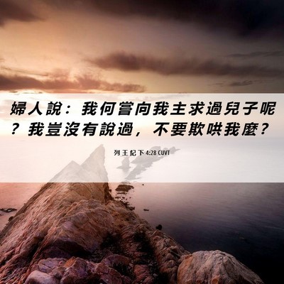 Picture 06 - 列 王 紀 下 4:28 CUVT - 婦 人 說 ： 我 何 嘗 向 我 主 求 過 - Bible Verse Picture