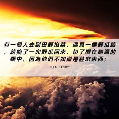 Picture 06 - 列 王 紀 下 4:39 CUVT - 有 一 個 人 去 到 田 野 掐 菜 ， 遇 - Bible Verse Picture
