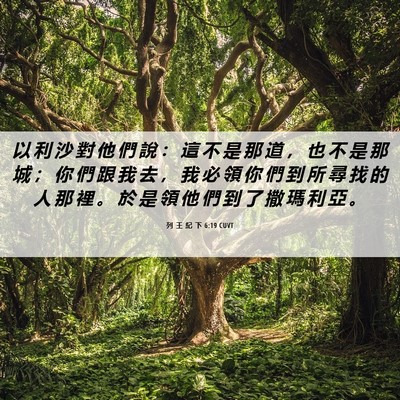 Picture 06 - 列 王 紀 下 6:19 CUVT - 以 利 沙 對 他 們 說 ： 這 不 是 那 - Bible Verse Picture