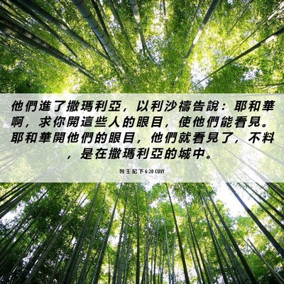 Picture 06 - 列 王 紀 下 6:20 CUVT - 他 們 進 了 撒 瑪 利 亞 ， 以 利 沙 - Bible Verse Picture