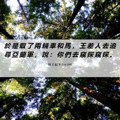 Picture 06 - 列 王 紀 下 7:14 CUVT - 於 是 取 了 兩 輛 車 和 馬 ， 王 差 - Bible Verse Picture