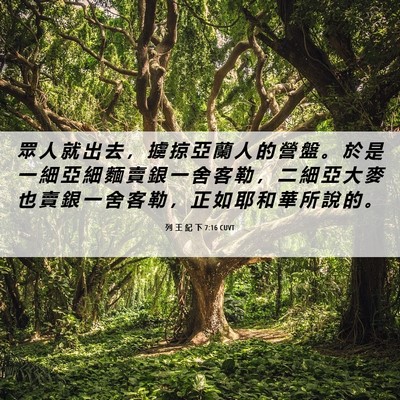 Picture 06 - 列 王 紀 下 7:16 CUVT - 眾 人 就 出 去 ， 擄 掠 亞 蘭 人 的 - Bible Verse Picture