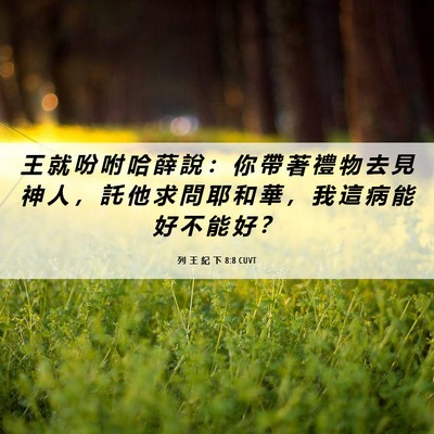Picture 06 - 列 王 紀 下 8:8 CUVT - 王 就 吩 咐 哈 薛 說 ： 你 帶 著 禮 - Bible Verse Picture