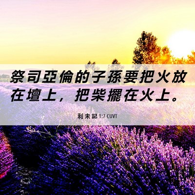 Picture 06 - 利 未 記 1:7 CUVT - 祭 司 亞 倫 的 子 孫 要 把 火 放 在 - Bible Verse Picture