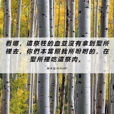 Picture 06 - 利 未 記 10:18 CUVT - 看 哪 ， 這 祭 牲 的 血 並 沒 有 拿 - Bible Verse Picture