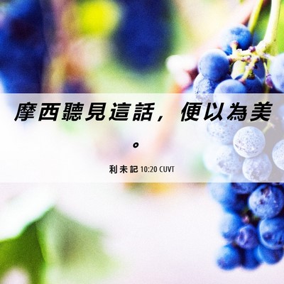 Picture 06 - 利 未 記 10:20 CUVT - 摩 西 聽 見 這 話 ， 便 以 為 美 - Bible Verse Picture