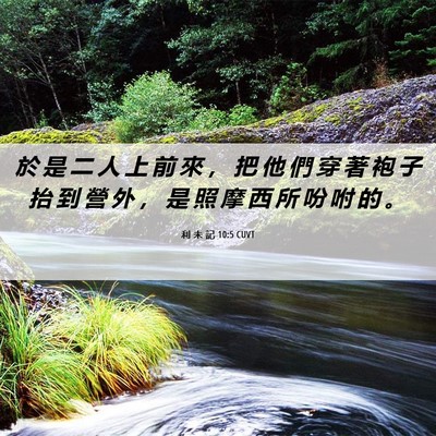 Picture 06 - 利 未 記 10:5 CUVT - 於 是 二 人 上 前 來 ， 把 他 們 穿 - Bible Verse Picture