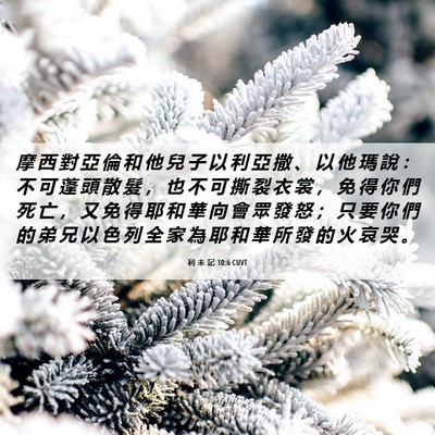 Picture 06 - 利 未 記 10:6 CUVT - 摩 西 對 亞 倫 和 他 兒 子 以 利 亞 - Bible Verse Picture