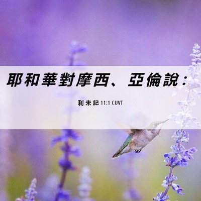 Picture 06 - 利 未 記 11:1 CUVT - 耶 和 華 對 摩 西 、 亞 倫 說 - Bible Verse Picture